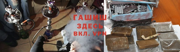 мдпв Краснослободск