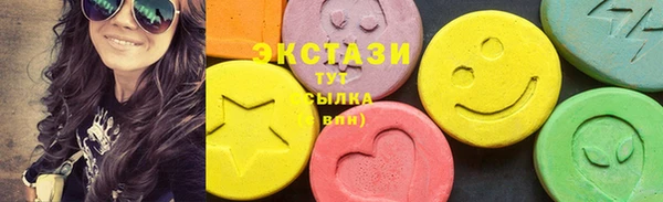 мдпв Краснослободск