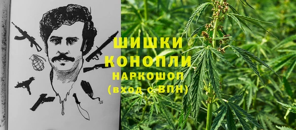 альфа пвп Краснотурьинск