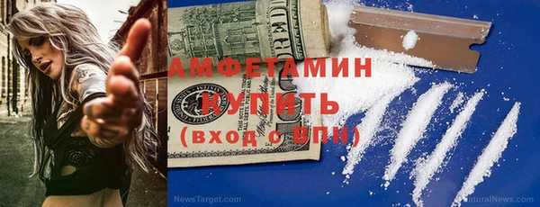 мдпв Краснослободск