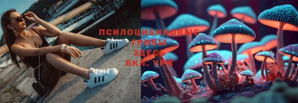 мдпв Краснослободск